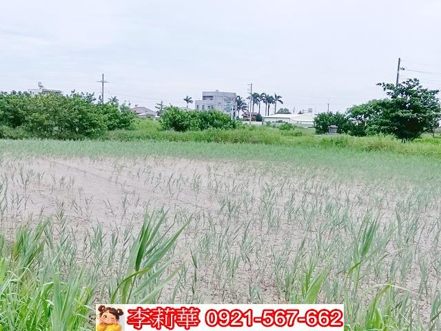 台南農地-12