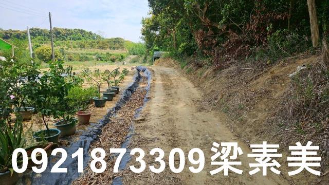 台南關廟農地-4