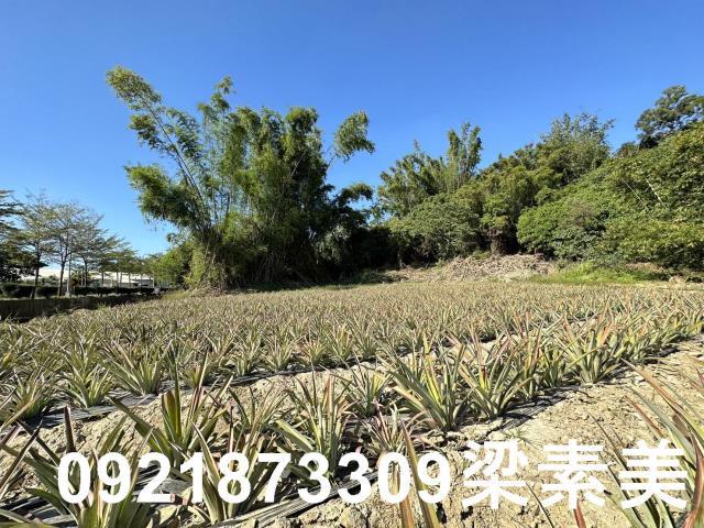 台南關廟農地-2