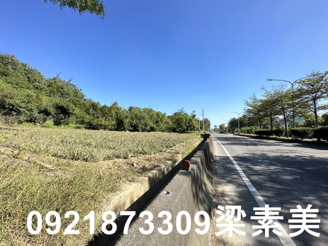 台南關廟農地-3