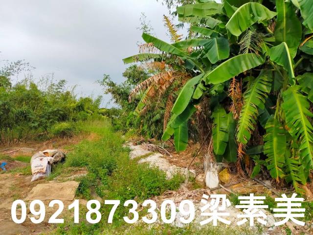 台南關廟農地-10