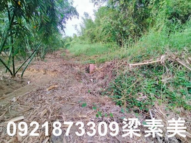 台南關廟農地-5