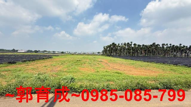 嘉義民雄農地-3