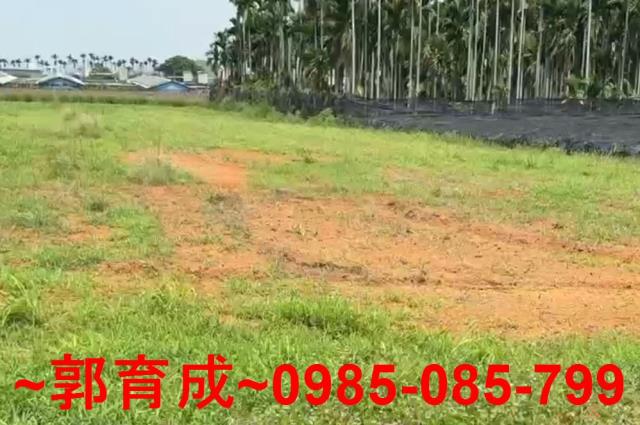 嘉義民雄農地-1