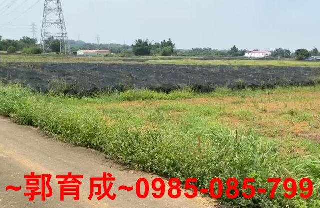 嘉義民雄農地-5
