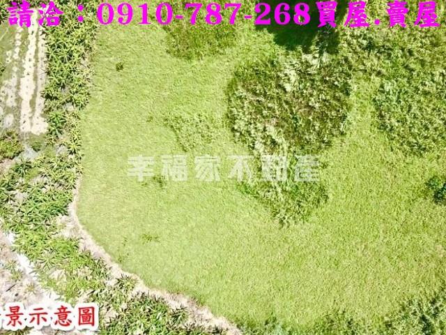 左鎮農地-10