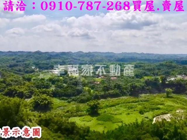左鎮農地-3