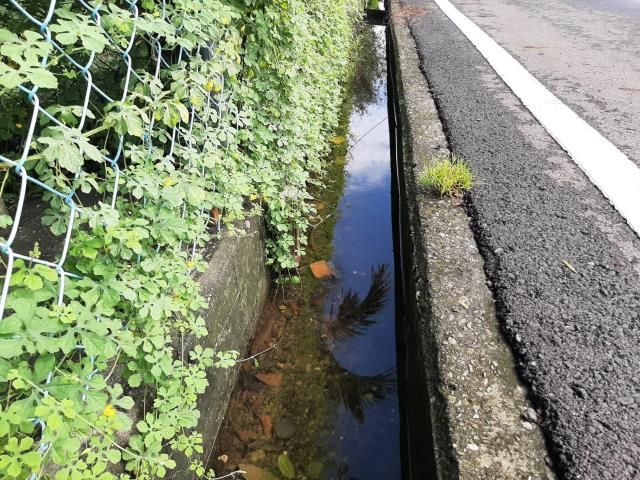 內埔農地-5