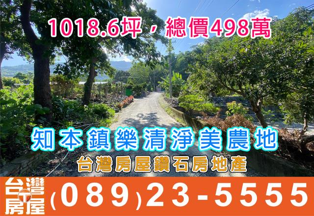 台東山坡地-0