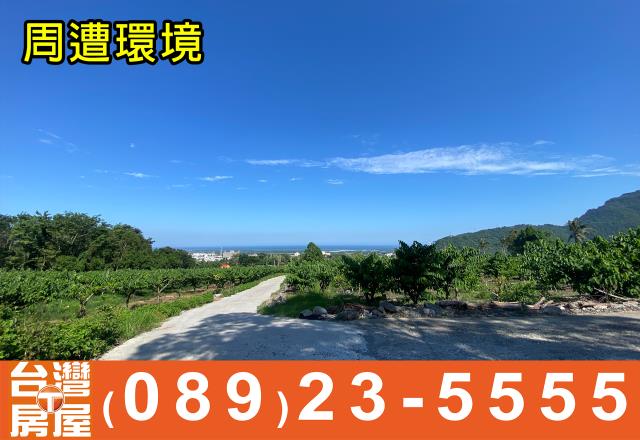台東山坡地-7