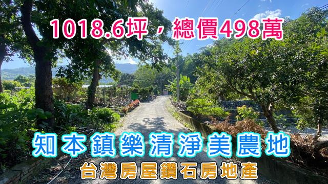 台東山坡地-1