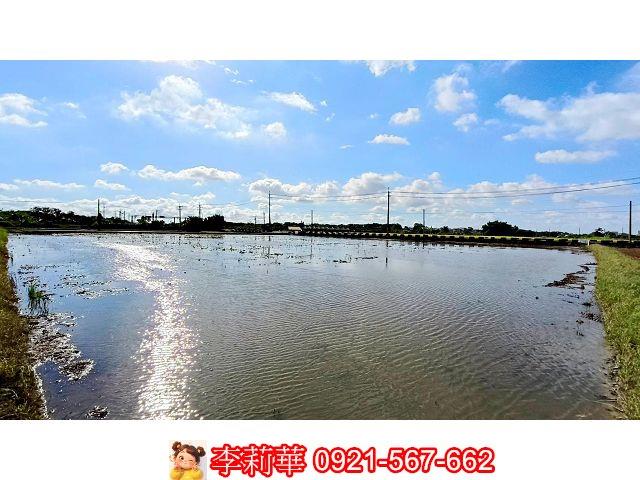 台南官田農地-9