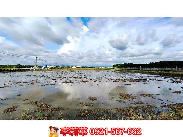 台南官田農地-5