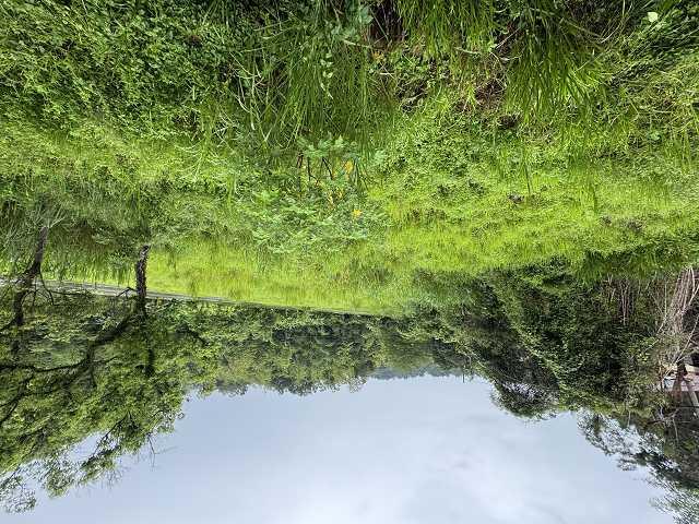 六龜農地-5