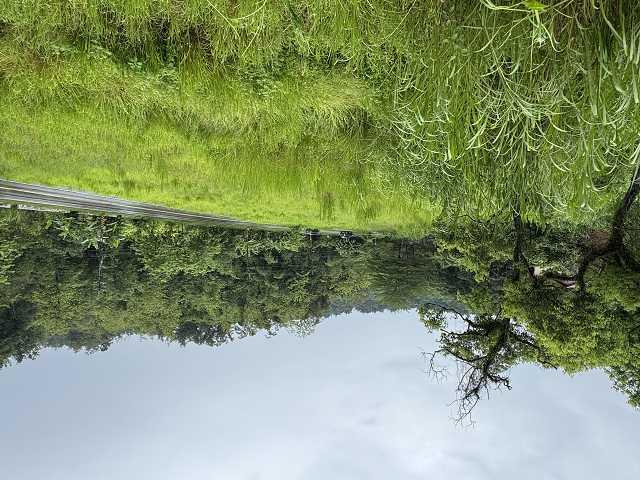 六龜農地-6