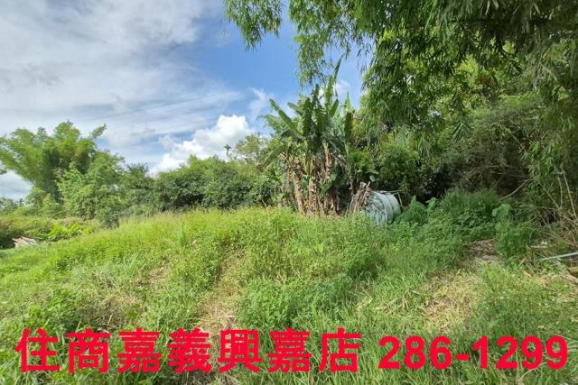 中埔農地-6