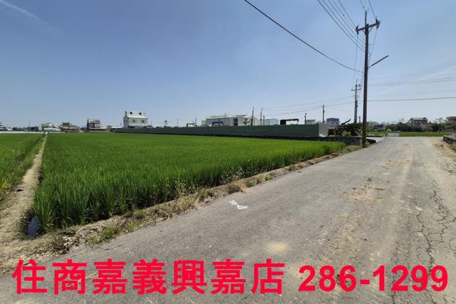 民雄農地-9