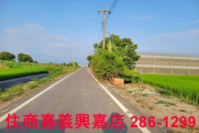 水上農地-3
