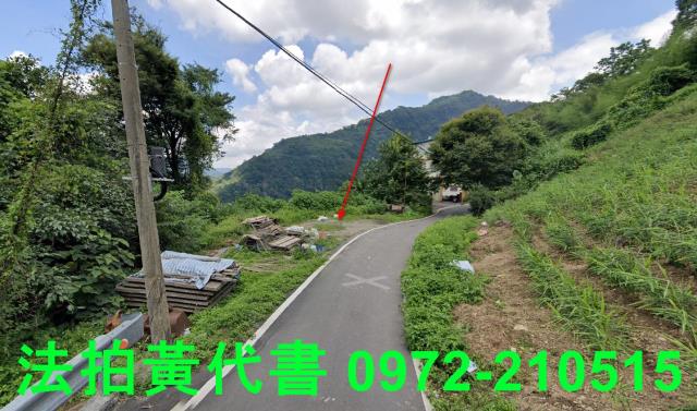 苗栗法拍建地-11