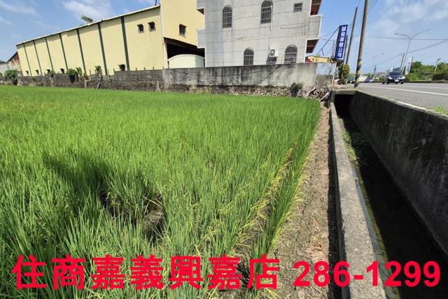 嘉義農地-4