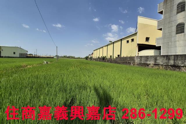 嘉義農地-5