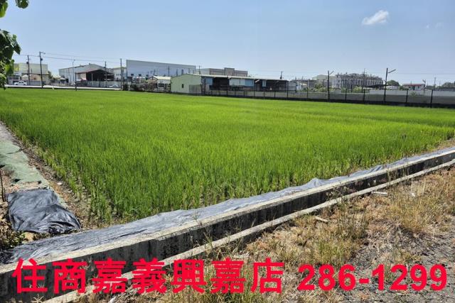 嘉義農地-7