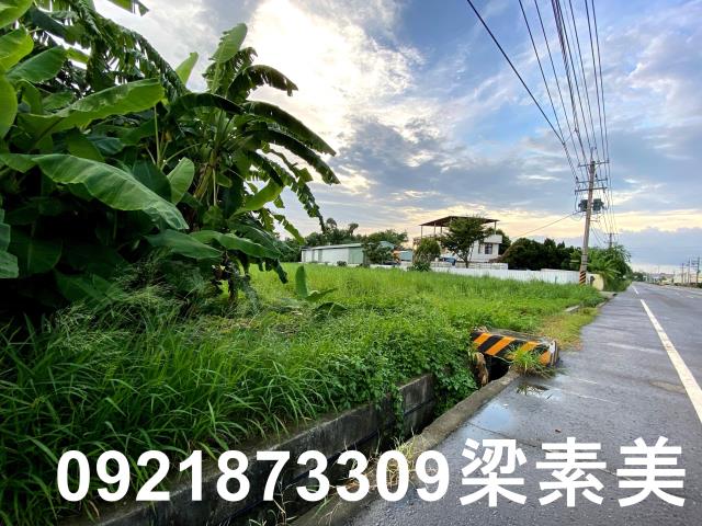 台南農地-2