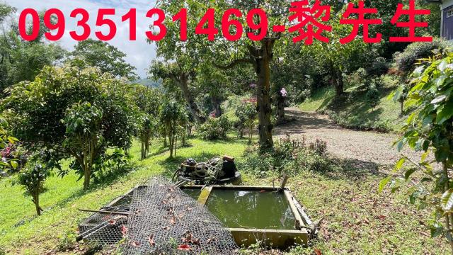 南庄農地-8