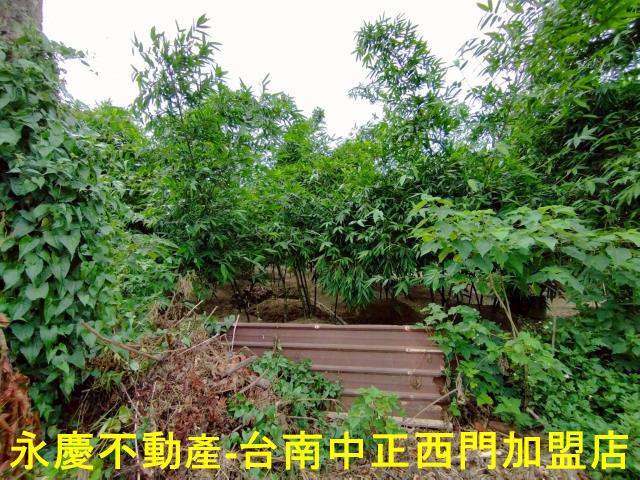 歸仁農地-4