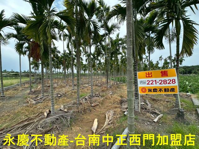 屏東農地-9