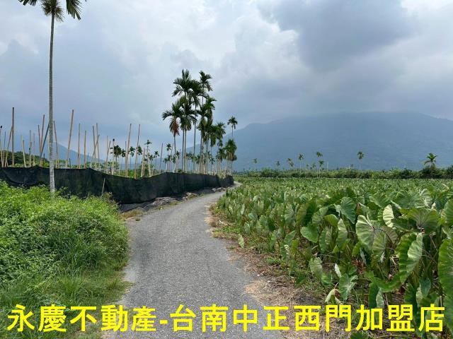 屏東農地-10