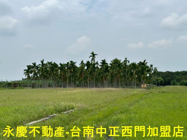 屏東農地-13