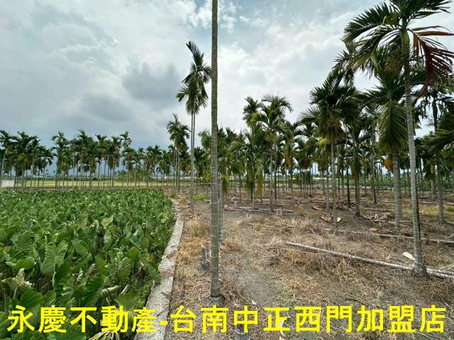 屏東農地-1