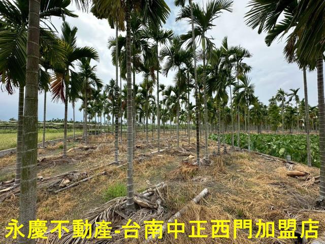 屏東農地-2