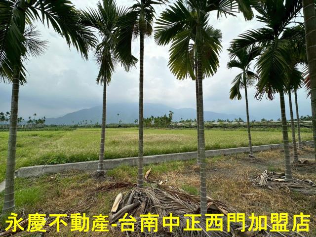 屏東農地-3