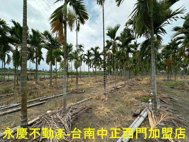屏東農地-4