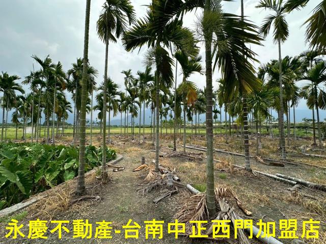 屏東農地-5
