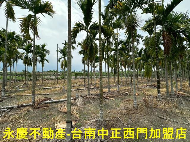屏東農地-6