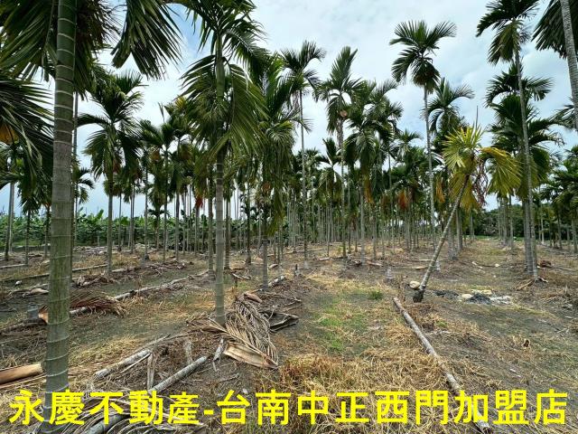 屏東農地-8