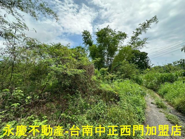 高雄農地-11