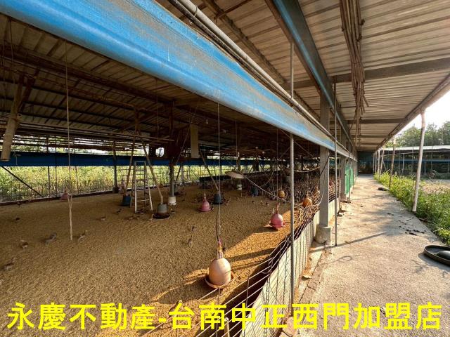 高雄農地-13