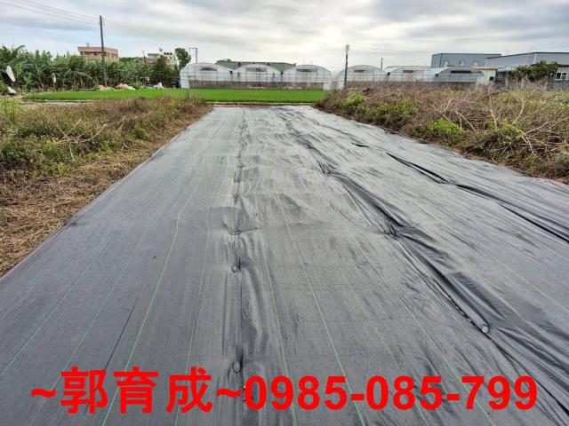 嘉義西區農地-0