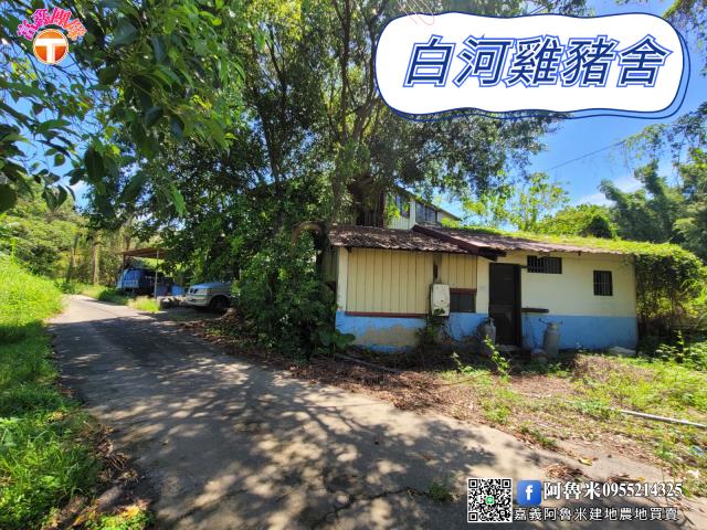 台南白河農地-0