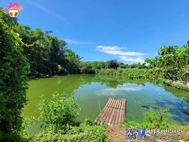 台南白河農地-5