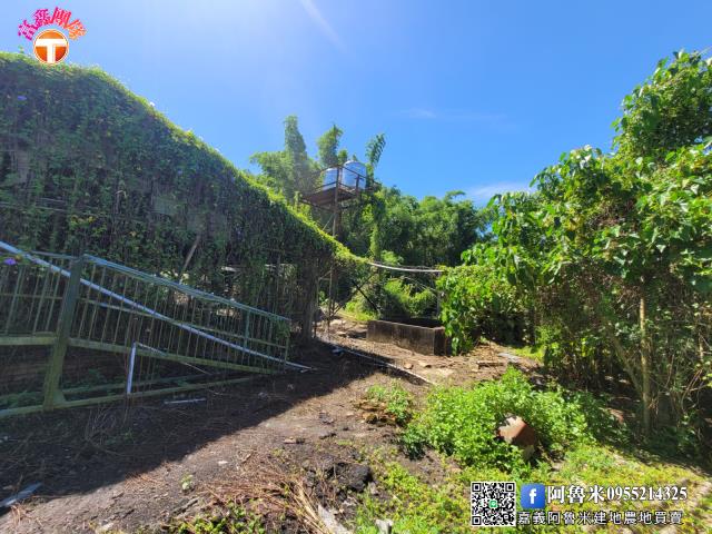 台南白河農地-6