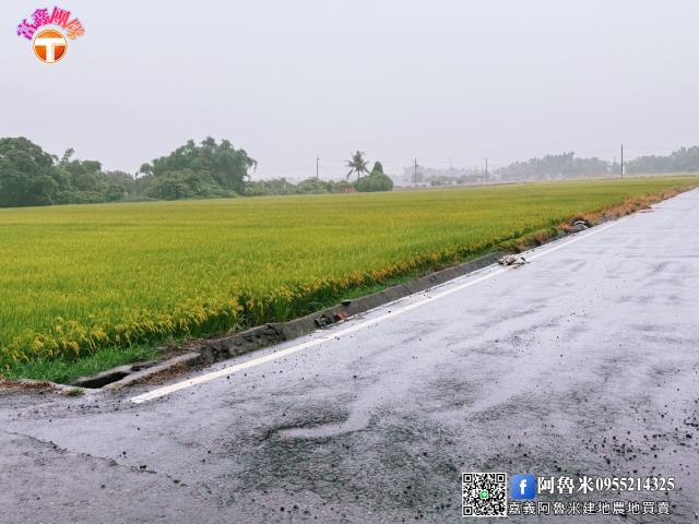 台南白河農地-2