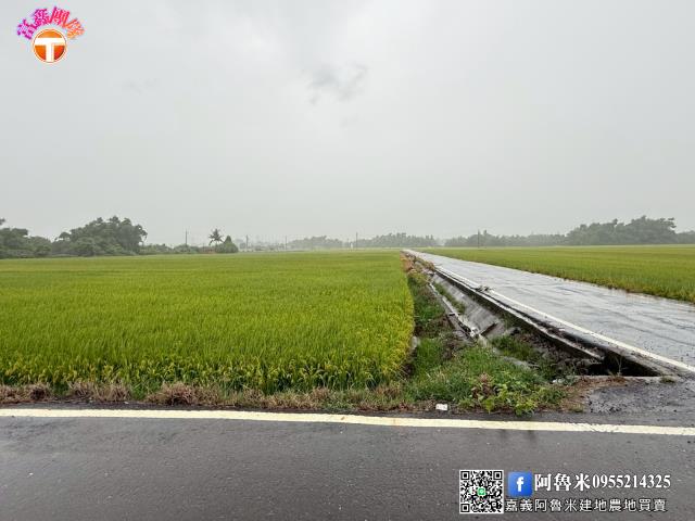 台南白河農地-3