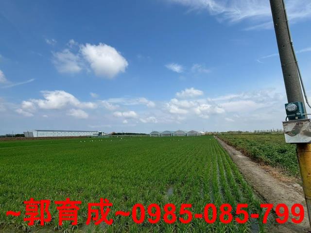 六腳農地-5