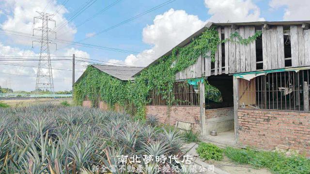 台南柳營農地-3