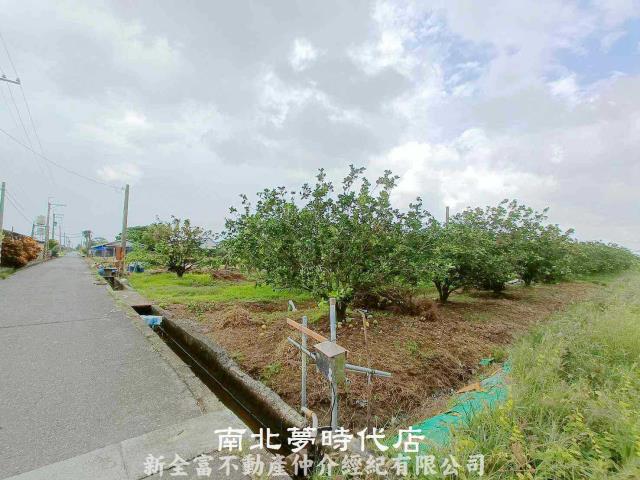 台南下營農地-4